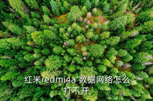  紅米redmi4a 數(shù)據(jù)網(wǎng)絡(luò)怎么打不開(kāi)