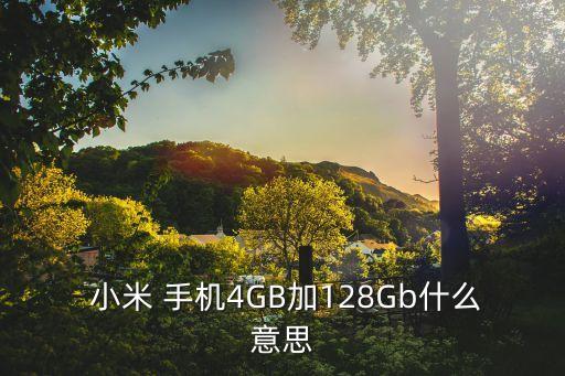 小米手機(jī)的數(shù)據(jù)是什么意思啊,小米自動(dòng)更新預(yù)置數(shù)據(jù)是什么意思