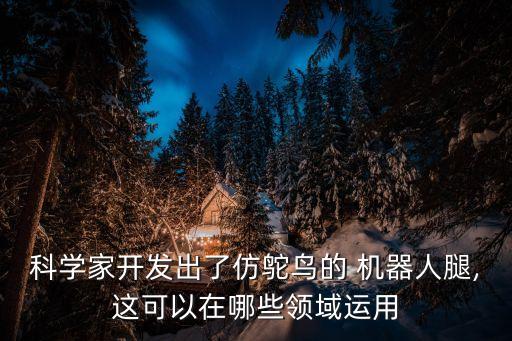 人工智能機器人身上最貴的部件