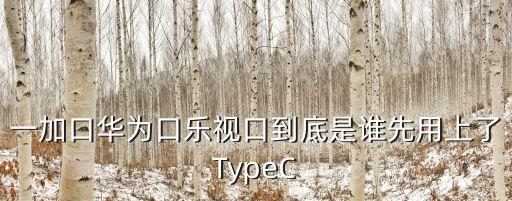 什么手機用type-c數(shù)據(jù)線,6a數(shù)據(jù)線適合什么手機