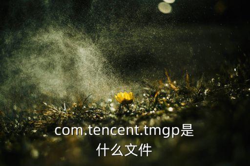 com.tencent.tmgp是什么文件