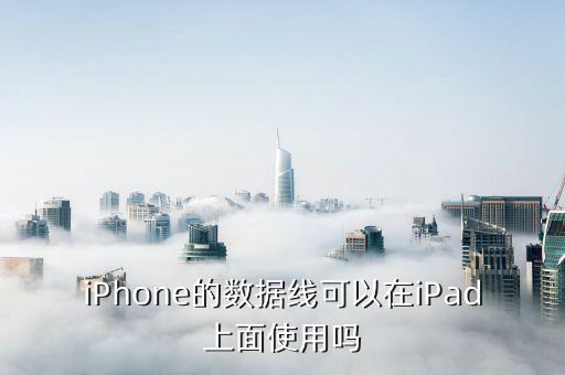 iPhone的數(shù)據(jù)線可以在iPad上面使用嗎