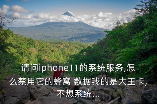 蘋果禁止數(shù)據(jù)連接網(wǎng)絡(luò),蘋果14plus數(shù)據(jù)網(wǎng)絡(luò)有時(shí)候連接不上