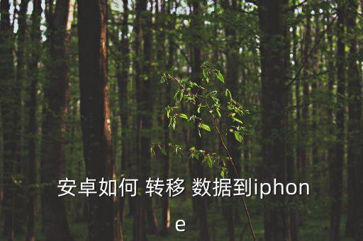  安卓如何 轉(zhuǎn)移 數(shù)據(jù)到iphone