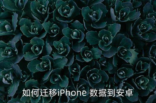如何遷移iPhone 數(shù)據(jù)到安卓