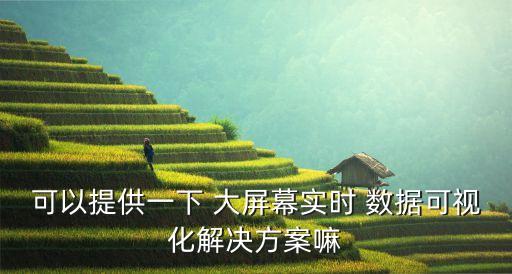 可以提供一下 大屏幕實時 數(shù)據(jù)可視化解決方案嘛
