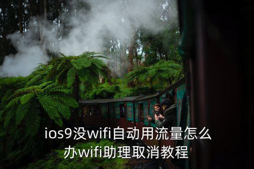  ios9沒(méi)wifi自動(dòng)用流量怎么辦wifi助理取消教程