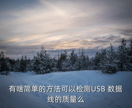 有啥簡單的方法可以檢測USB 數(shù)據(jù)線的質(zhì)量么