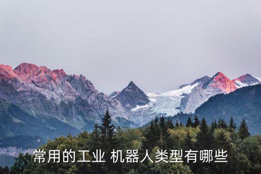 常用的工業(yè) 機(jī)器人類型有哪些