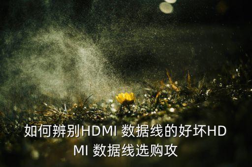 如何辨別HDMI 數(shù)據(jù)線的好壞HDMI 數(shù)據(jù)線選購攻