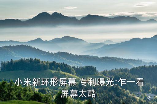 小米手機的專利開發(fā)數(shù)據(jù)