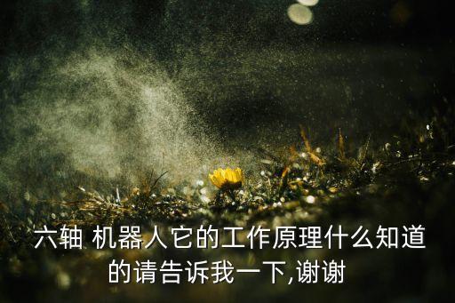  六軸 機(jī)器人它的工作原理什么知道的請告訴我一下,謝謝
