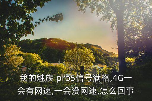我的魅族 pro5信號(hào)滿格,4G一會(huì)有網(wǎng)速,一會(huì)沒網(wǎng)速,怎么回事