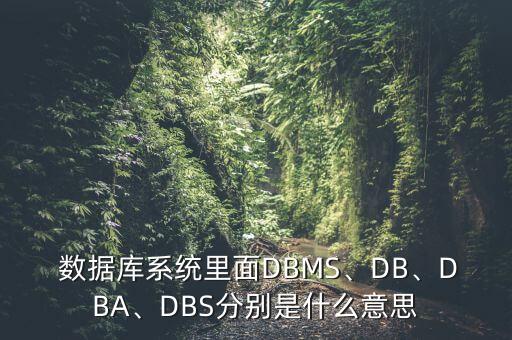 數(shù)據(jù)庫系統(tǒng)里面DBMS、DB、DBA、DBS分別是什么意思