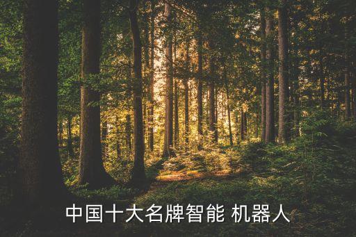 中國十大名牌智能 機(jī)器人