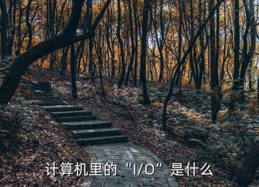 計(jì)算機(jī)里的“I/O”是什么