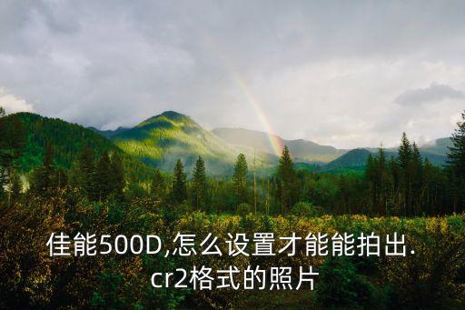 佳能500D,怎么設置才能能拍出. cr2格式的照片