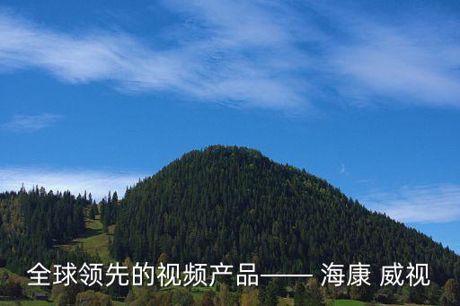 全球領(lǐng)先的視頻產(chǎn)品—— ?？?威視