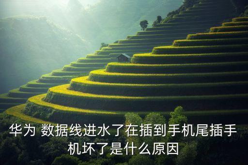數(shù)據(jù)線有水時(shí)充電,磁吸數(shù)據(jù)線有水可以充電嗎