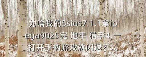 地牢獵手4 數(shù)據(jù)出錯(cuò)