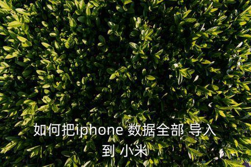 如何把iphone 數(shù)據(jù)全部 導(dǎo)入到 小米