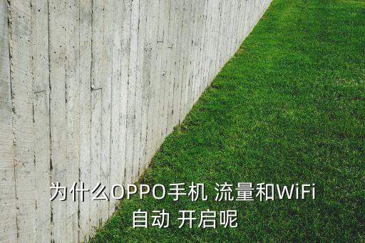 為什么OPPO手機(jī) 流量和WiFi 自動(dòng) 開(kāi)啟呢