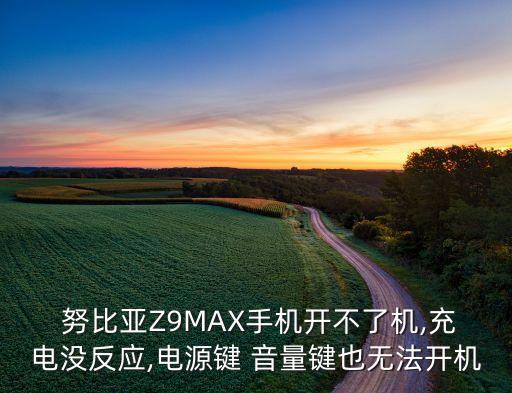 努比亞z9 max 數(shù)據(jù)線