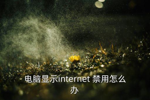 數(shù)據(jù)網(wǎng)絡(luò)被禁用要怎么打開,手機(jī)怎么禁用數(shù)據(jù)網(wǎng)絡(luò)