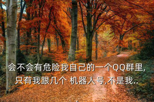 會(huì)不會(huì)有危險(xiǎn)我自己的一個(gè)QQ群里,只有我跟幾個(gè) 機(jī)器人號(hào),不是我...