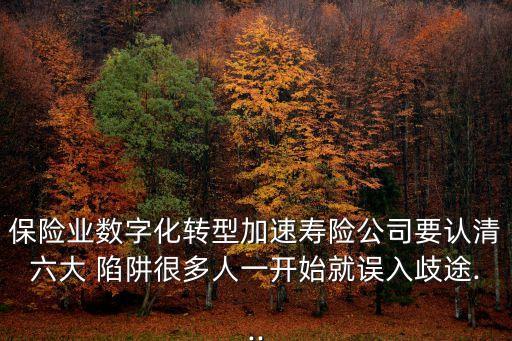保險(xiǎn)業(yè)數(shù)字化轉(zhuǎn)型加速壽險(xiǎn)公司要認(rèn)清六大 陷阱很多人一開(kāi)始就誤入歧途...