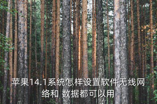 wifi和數(shù)據(jù)同步使用,蘋(píng)果手機(jī)怎么設(shè)置wifi跟數(shù)據(jù)同步