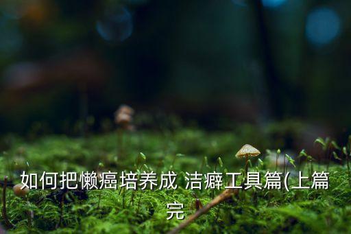 如何把懶癌培養(yǎng)成 潔癖工具篇(上篇完