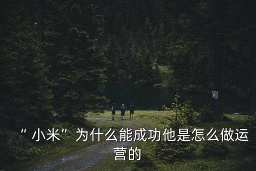 “ 小米”為什么能成功他是怎么做運(yùn)營(yíng)的