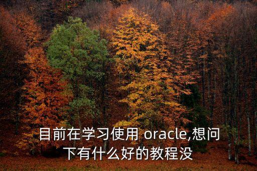 oracle數(shù)據(jù)庫開發(fā)技術(shù)支持,Oracle數(shù)據(jù)庫開發(fā)