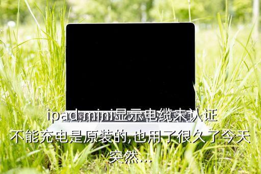 ipad mini數(shù)據(jù)線真假