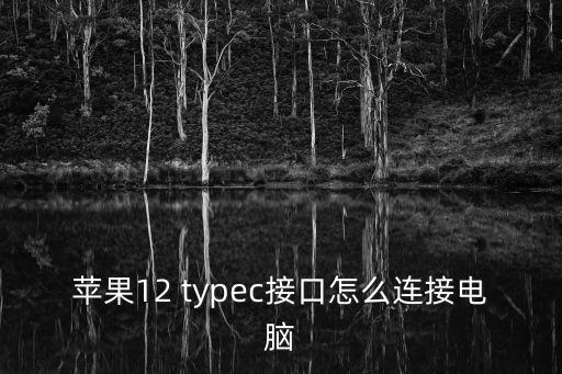 蘋果12 typec接口怎么連接電腦
