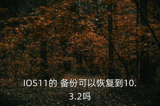 ios11備份數(shù)據(jù)