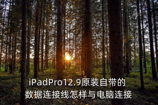 iPadPro12.9原裝自帶的 數(shù)據(jù)連接線怎樣與電腦連接