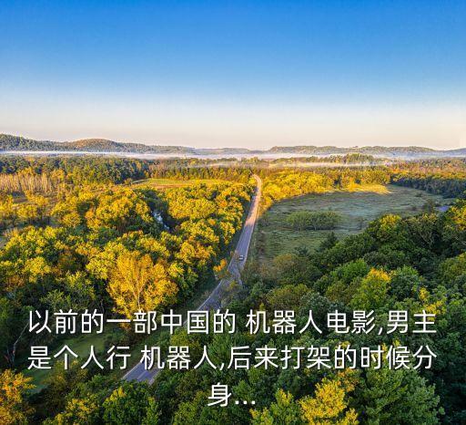 行機(jī)器人,逆水寒碧崖洞五行機(jī)器人