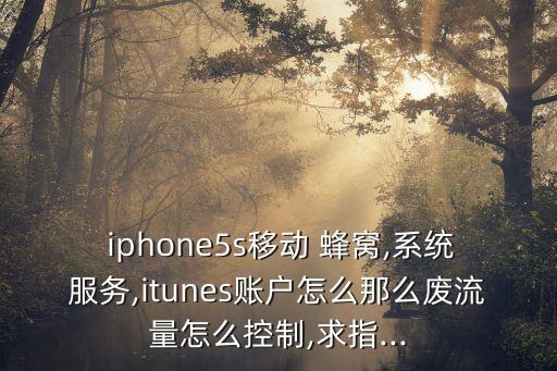  iphone5s移動 蜂窩,系統(tǒng)服務,itunes賬戶怎么那么廢流量怎么控制,求指...