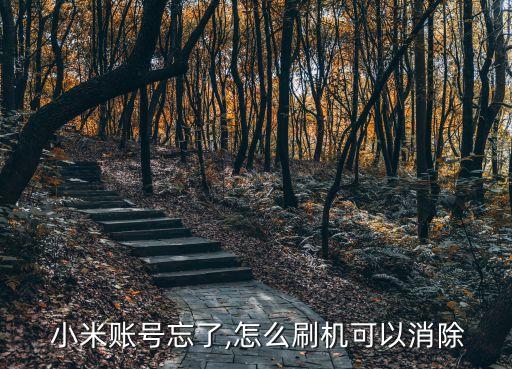  小米賬號(hào)忘了,怎么刷機(jī)可以消除