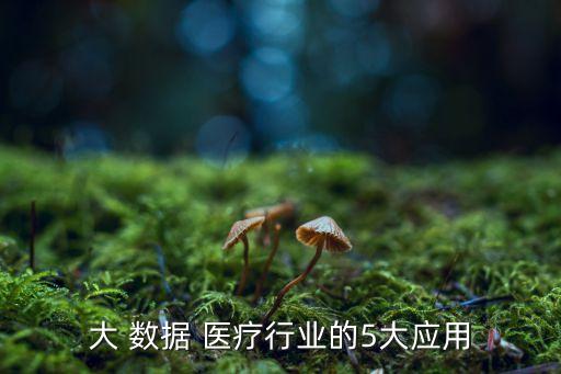 大 數(shù)據(jù) 醫(yī)療行業(yè)的5大應(yīng)用
