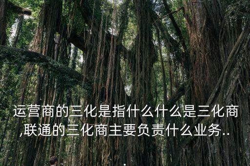  運營商的三化是指什么什么是三化商,聯(lián)通的三化商主要負責什么業(yè)務(wù)...