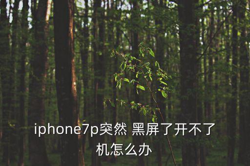 蘋果7plus自動(dòng)黑屏
