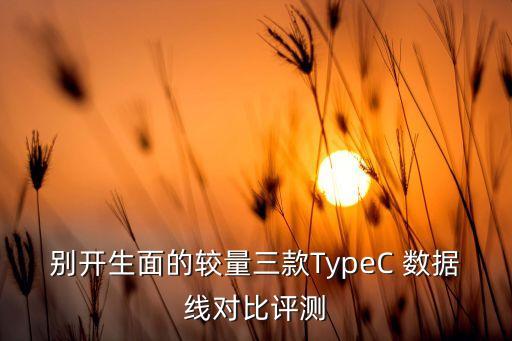 別開(kāi)生面的較量三款TypeC 數(shù)據(jù)線對(duì)比評(píng)測(cè)