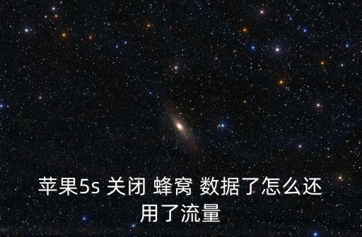 蘋果5s 關閉 蜂窩 數據了怎么還用了流量