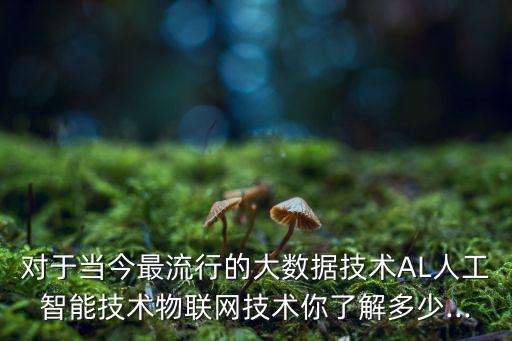 對于當(dāng)今最流行的大數(shù)據(jù)技術(shù)AL人工智能技術(shù)物聯(lián)網(wǎng)技術(shù)你了解多少...