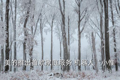 美的推出首款家庭服務(wù) 機(jī)器人“小惟”