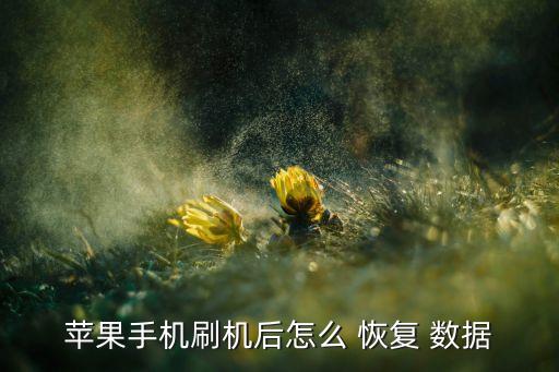 iphone恢復丟失數(shù)據(jù)恢復,數(shù)據(jù)恢復工具可以恢復所有丟失的文件