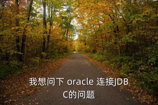 我想問下 oracle 連接JDBC的問題